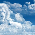 Qu’est-ce qui est de Dieu et qu’est-ce qui est de ma force mentale et de résilience