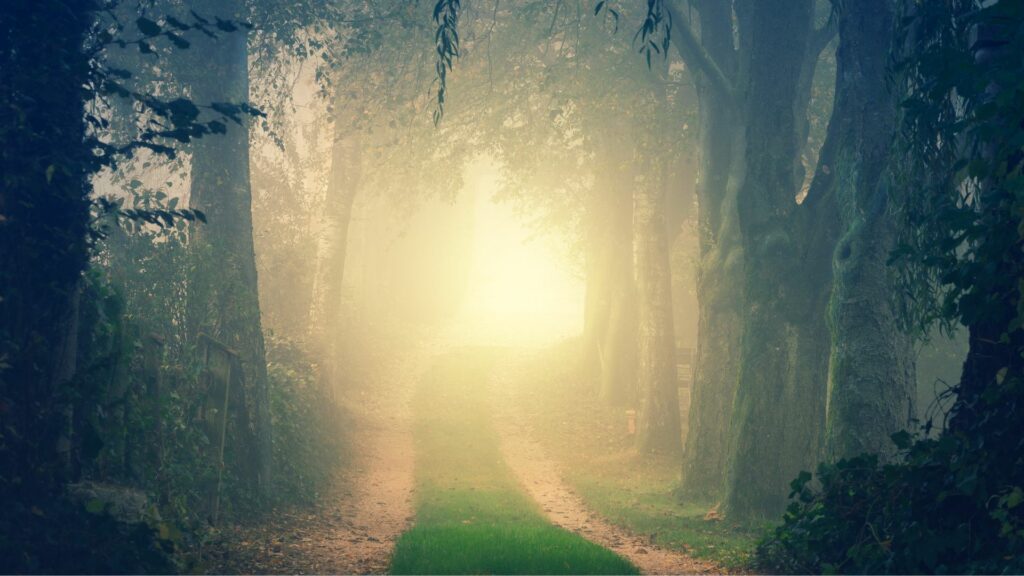 Entre expériences mystiques et rencontre avec le Christ : un cheminement spirituel unique