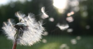 Lire la suite à propos de l’article Comment lâcher prise avec l’Esprit Saint : une méditation chrétienne